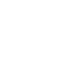 language-icon